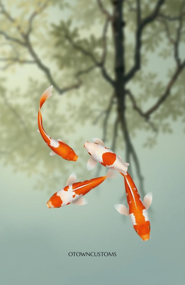 Koi Fish Tranquility
