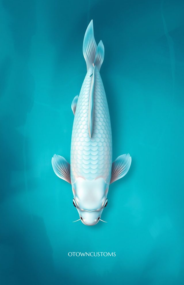 Digital Art Koi Fish Stream