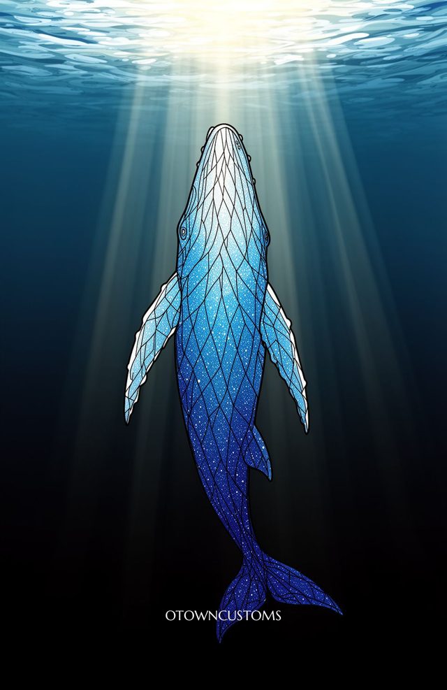 Stylized Whale Illustration Ocean