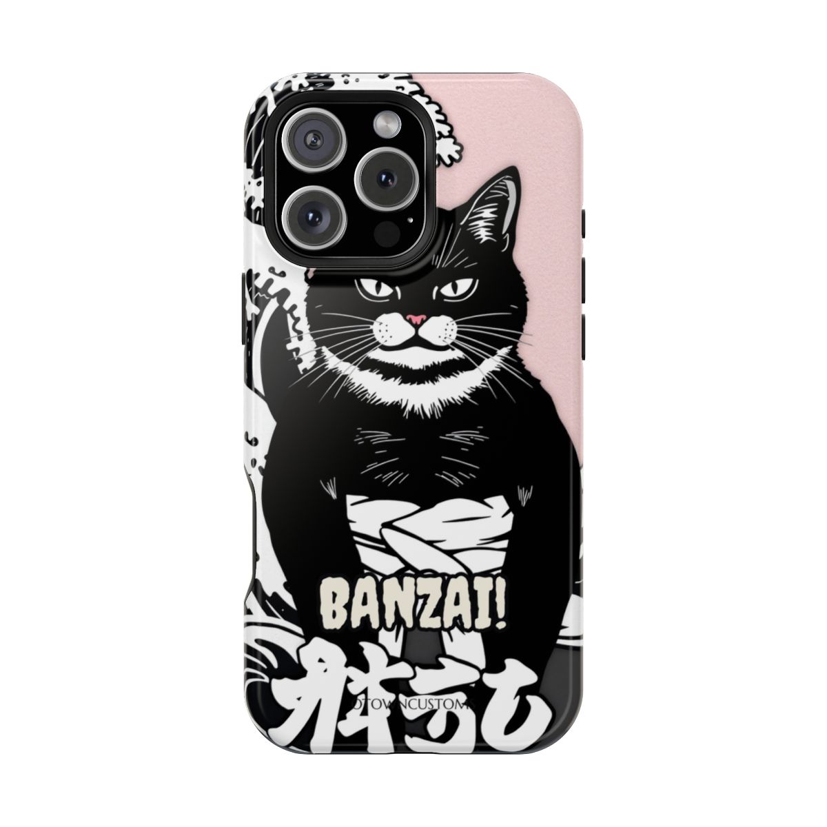 Cat Sumo Wrestler