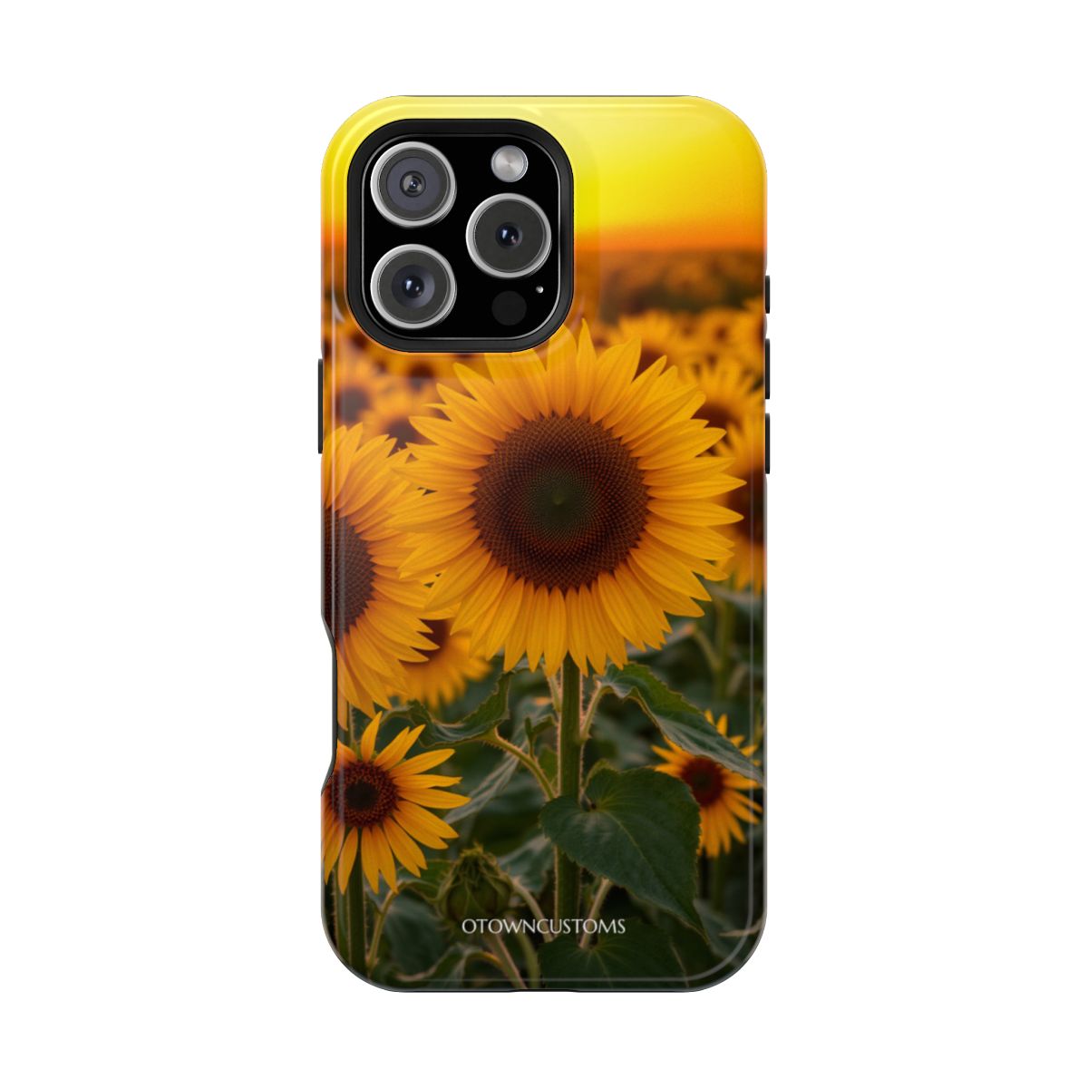 Sunflower Field Golden Hour