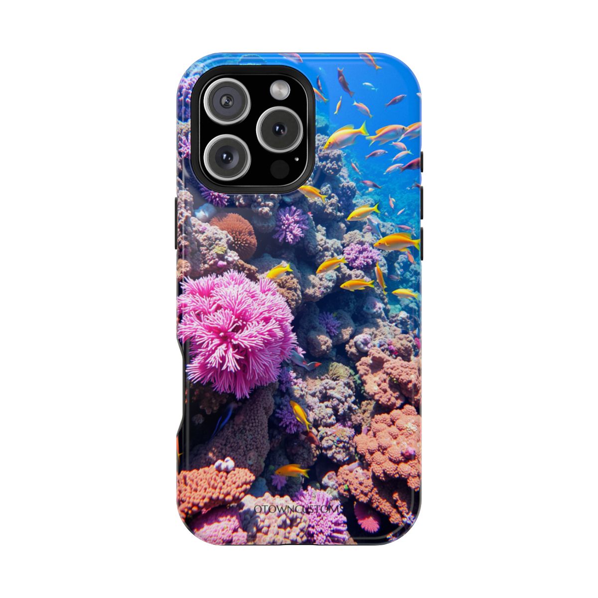Ocean Reef