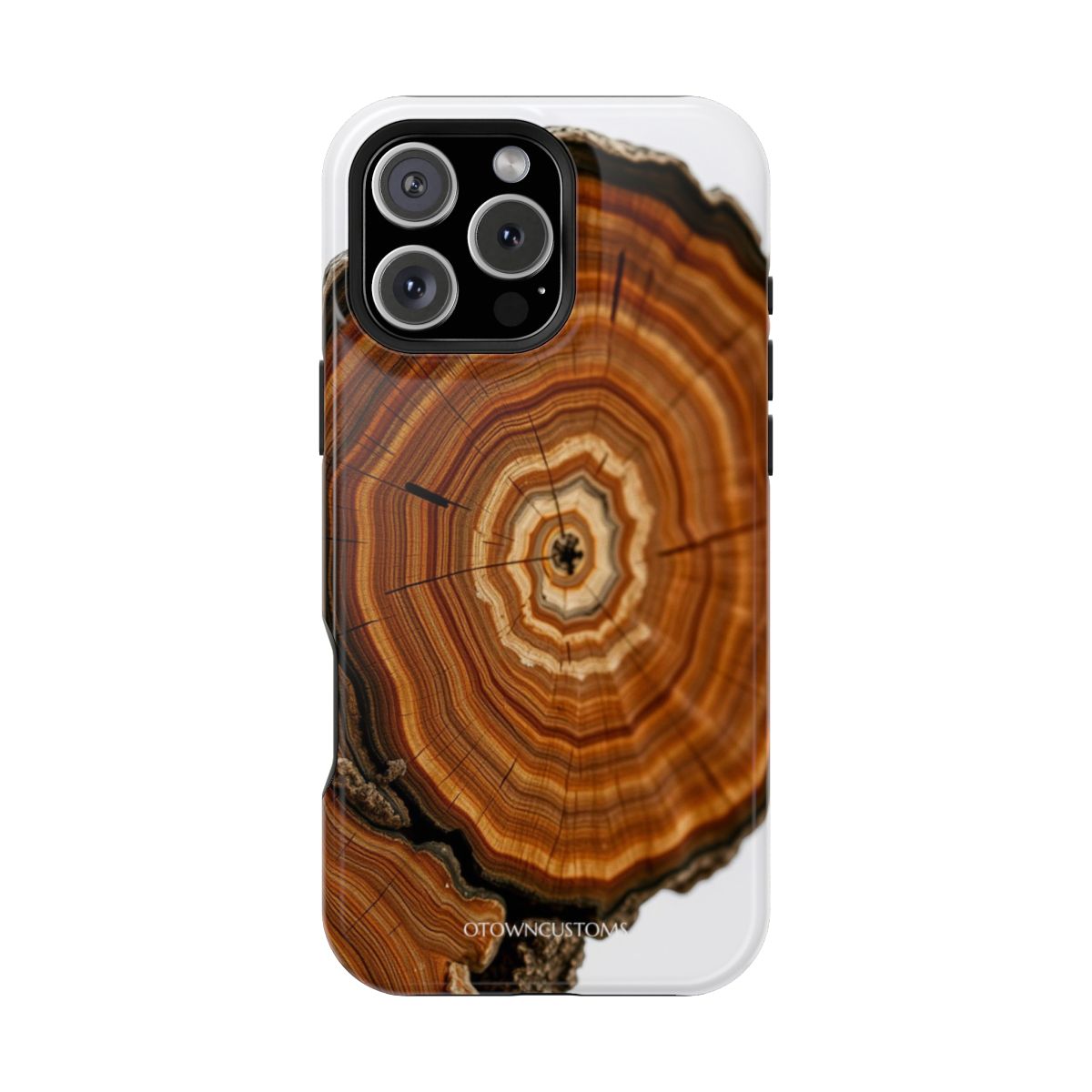 Wood Grain Petrified Wood Slice