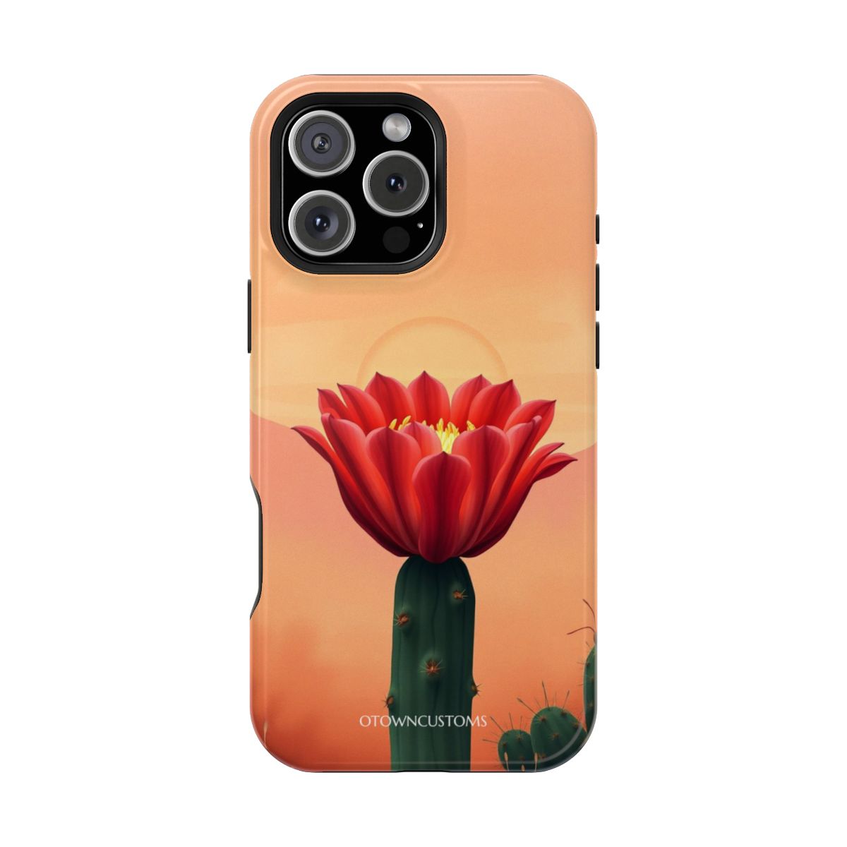 Desert Cactus Bloom