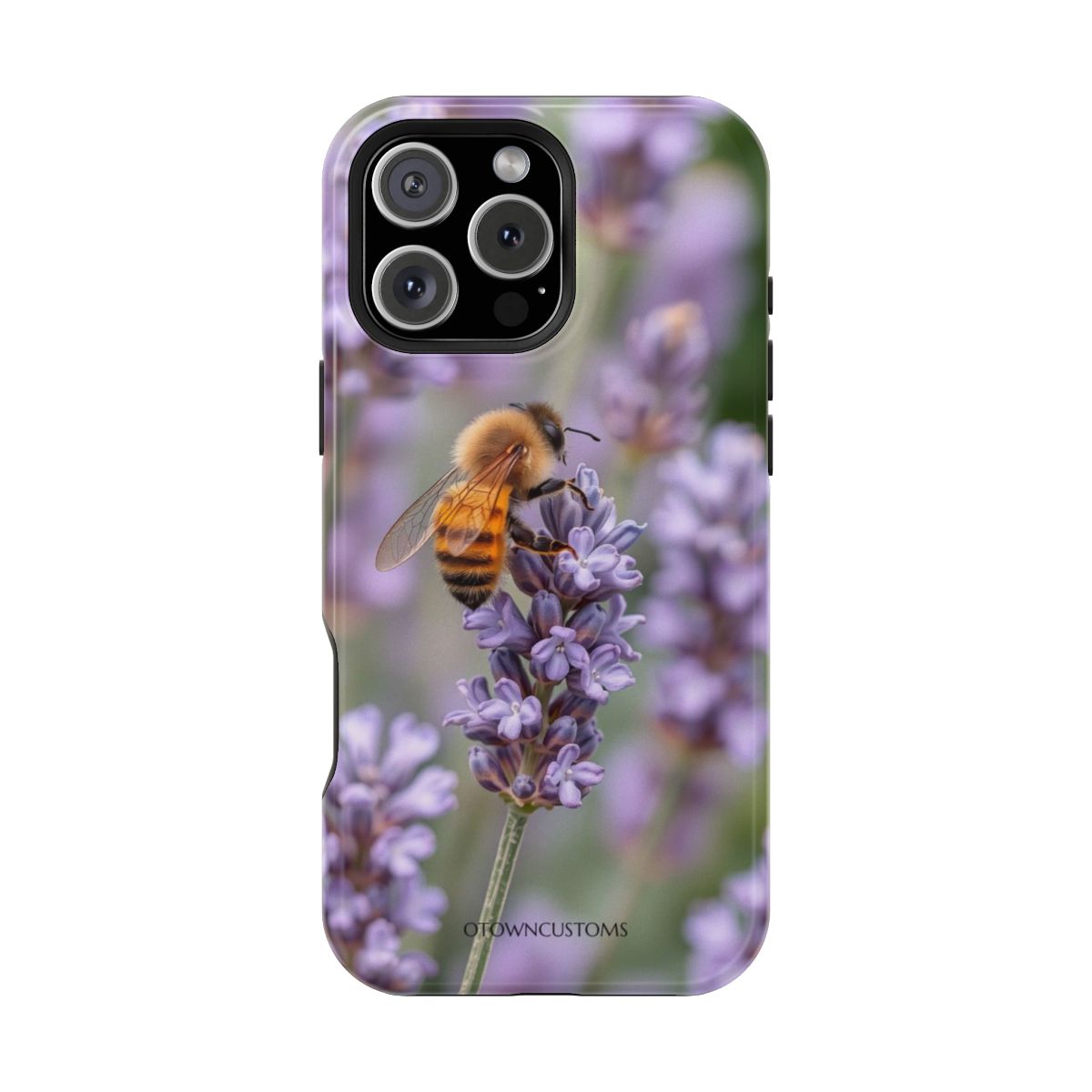 Honey Bee Lavender Field Macro