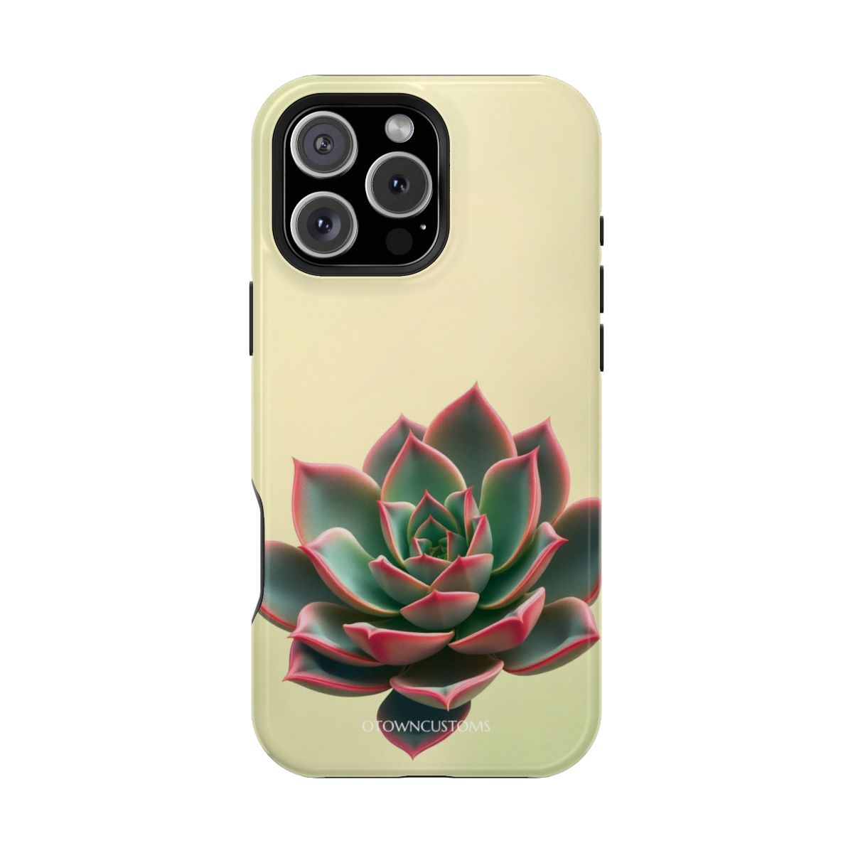 Succulent Garden Minimalist