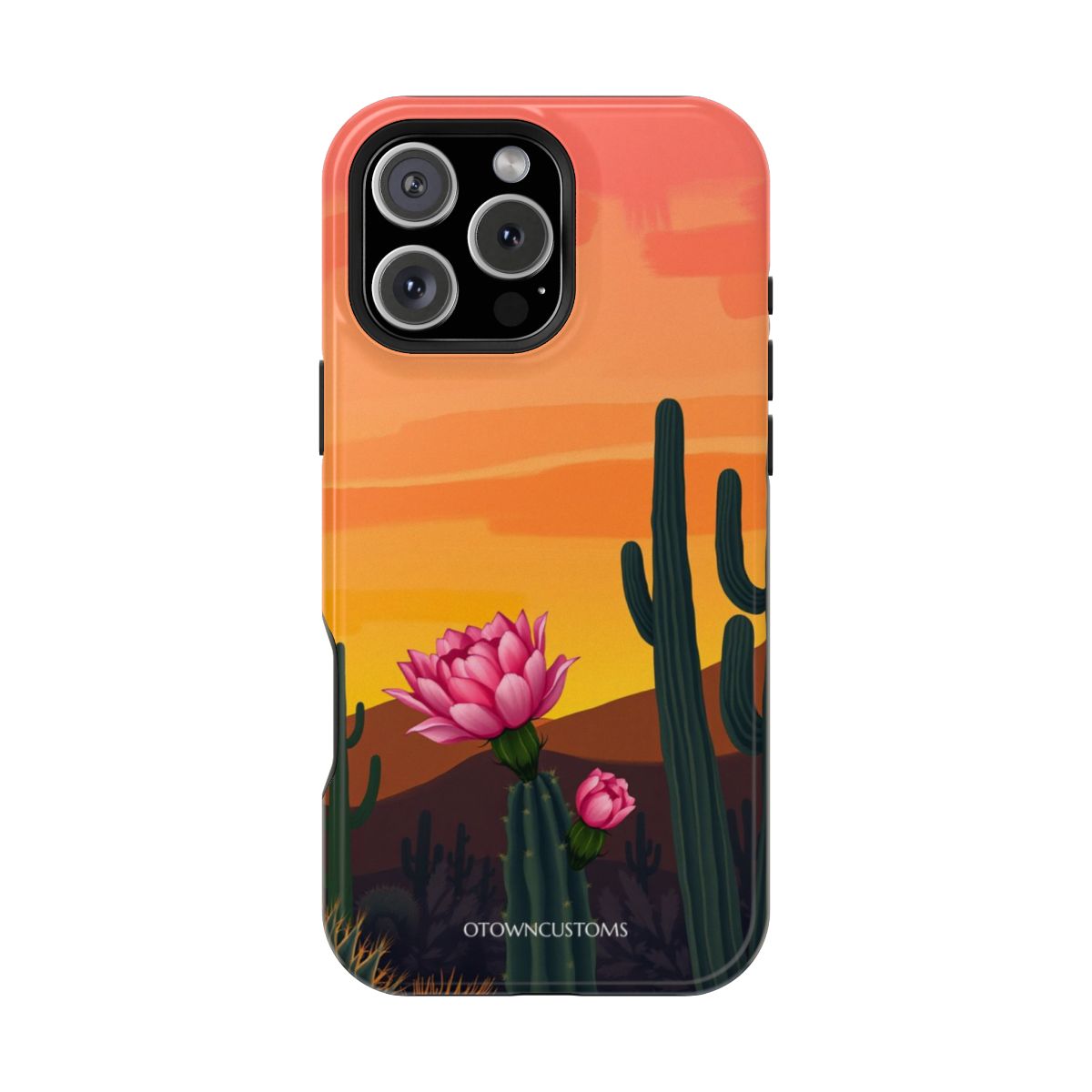 Desert Botanical Sunset