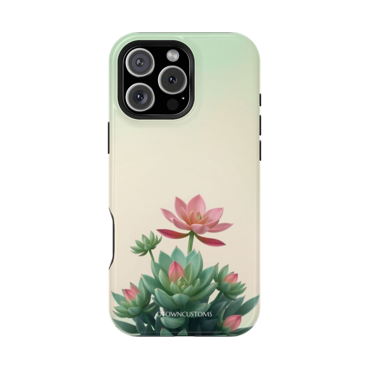 Succulent Garden Soft Pastel Illustration