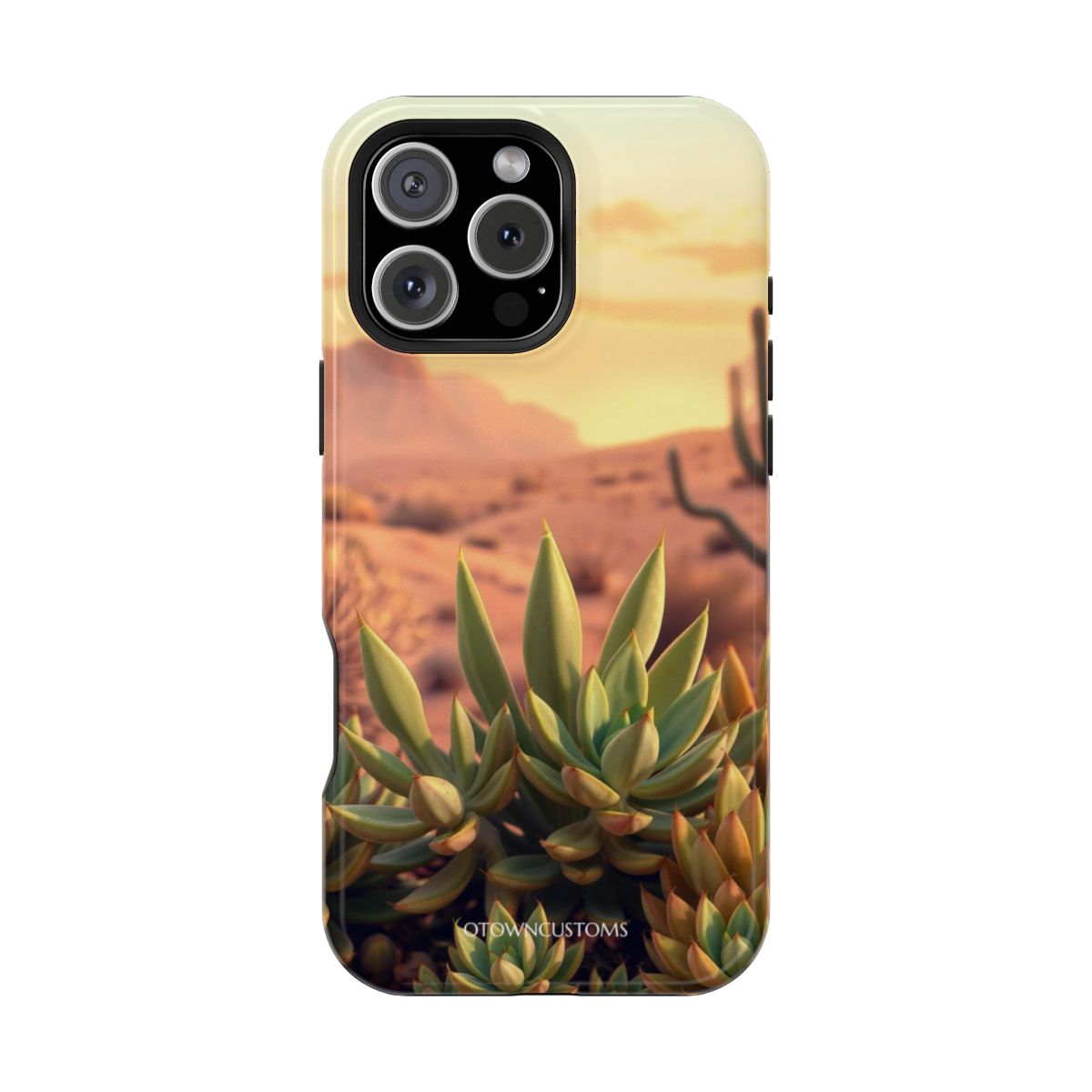 Succulent Garden Desert Oasis