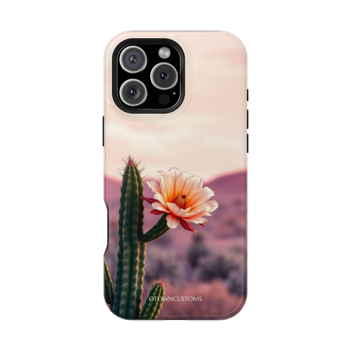 Desert Cactus Bloom Serenity