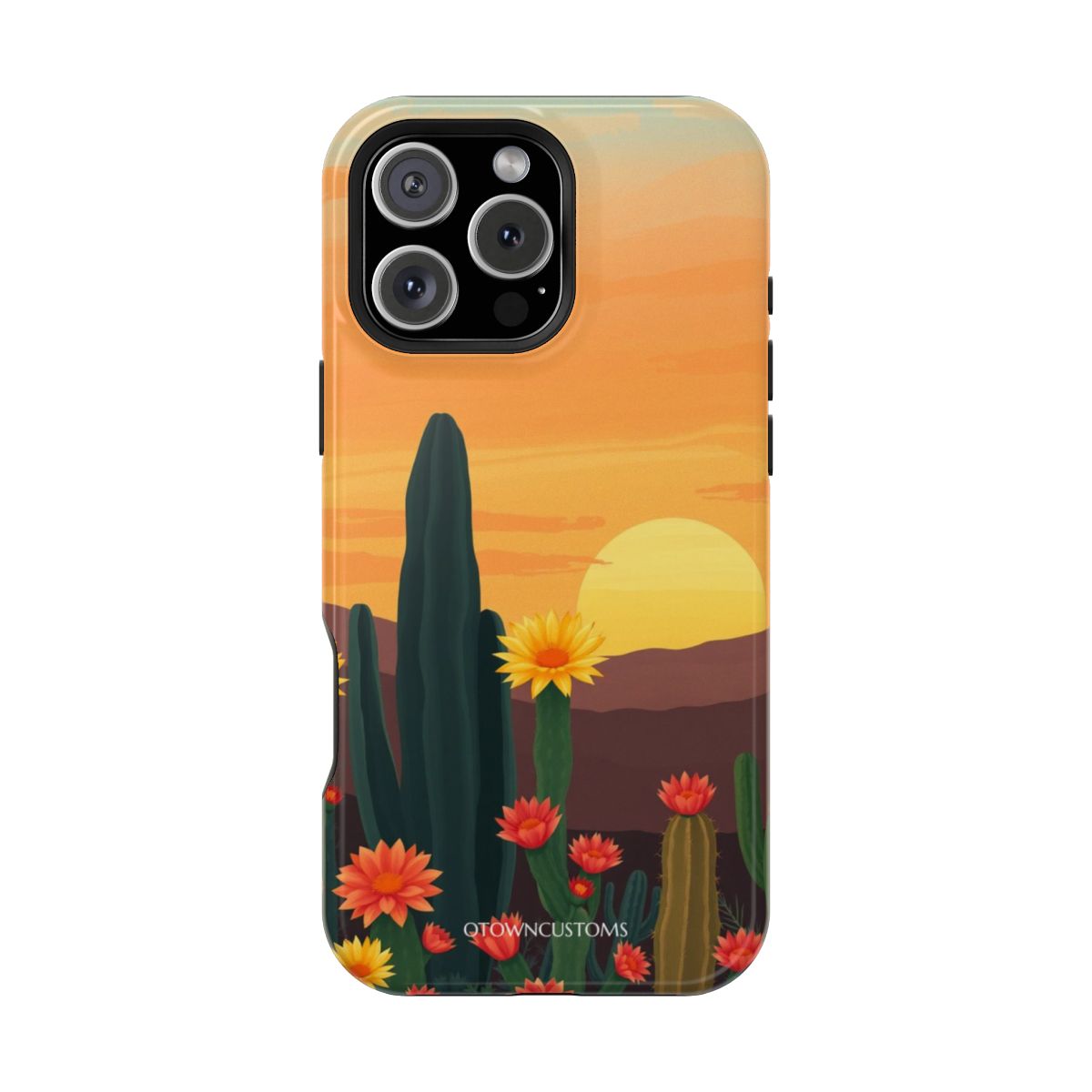 Colorful Cactus Blooms Desert