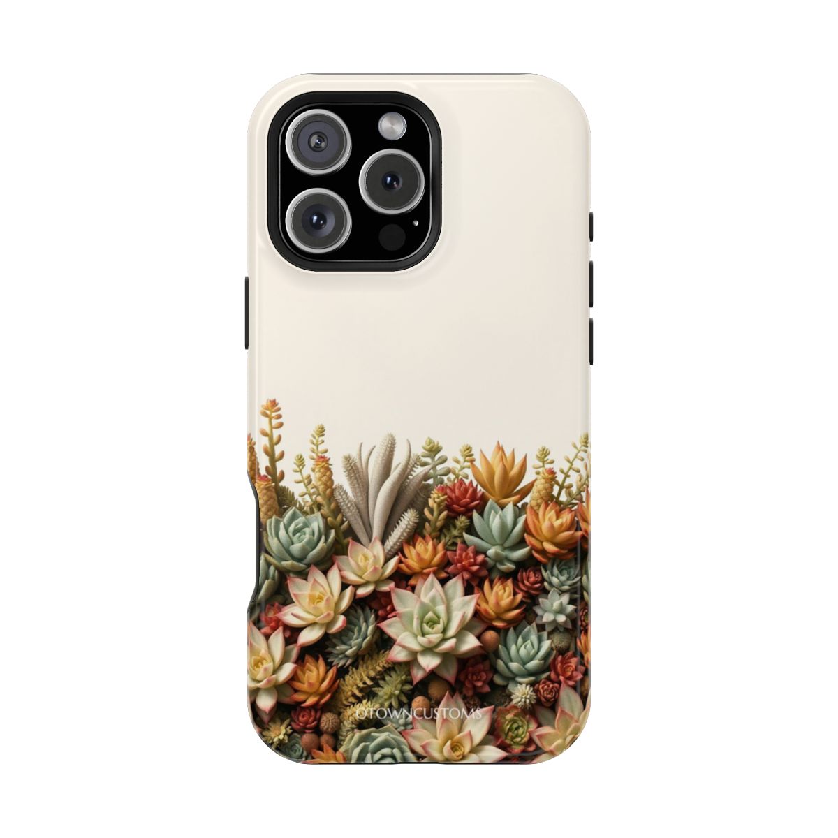 Succulent Garden Nature Landscape