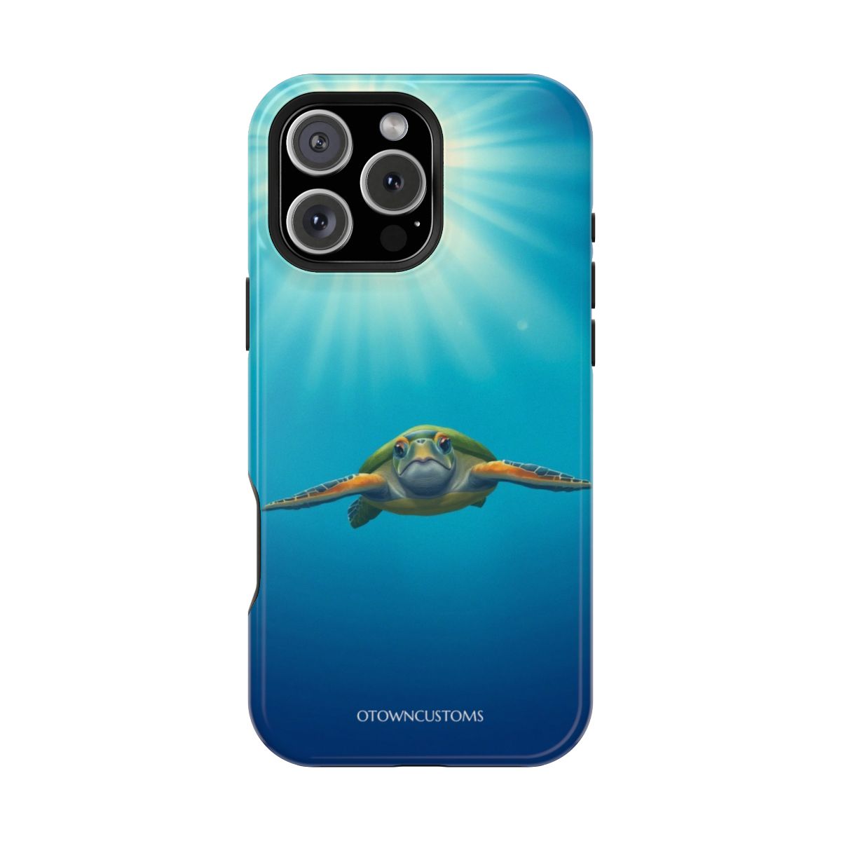 Underwater Sea Turtle