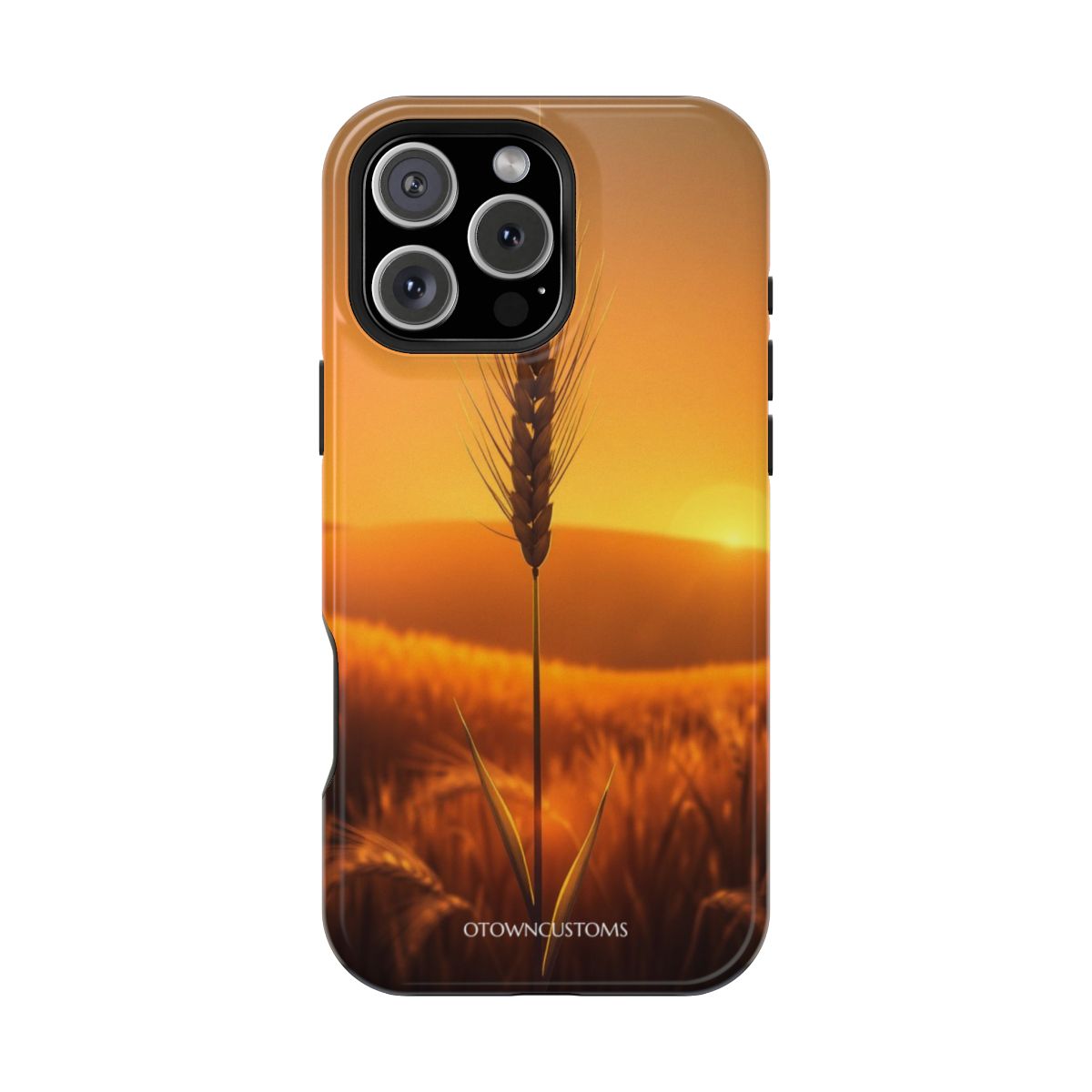 Golden Hour Wheat Field Landscape