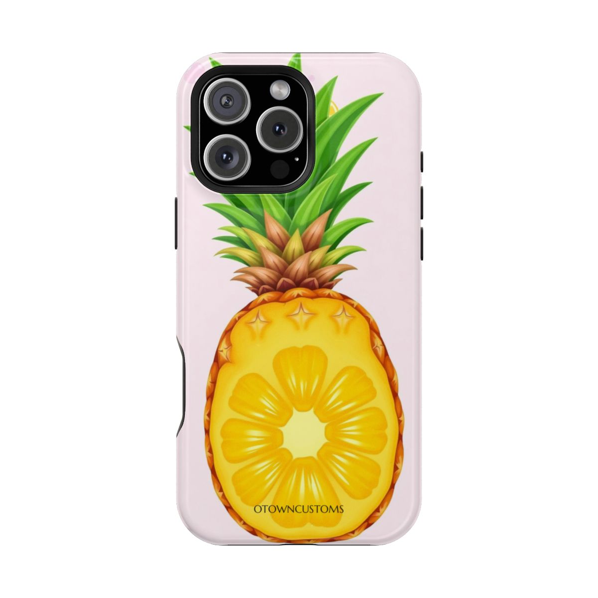 Pineapple Slice Graphic Fruit Illustration