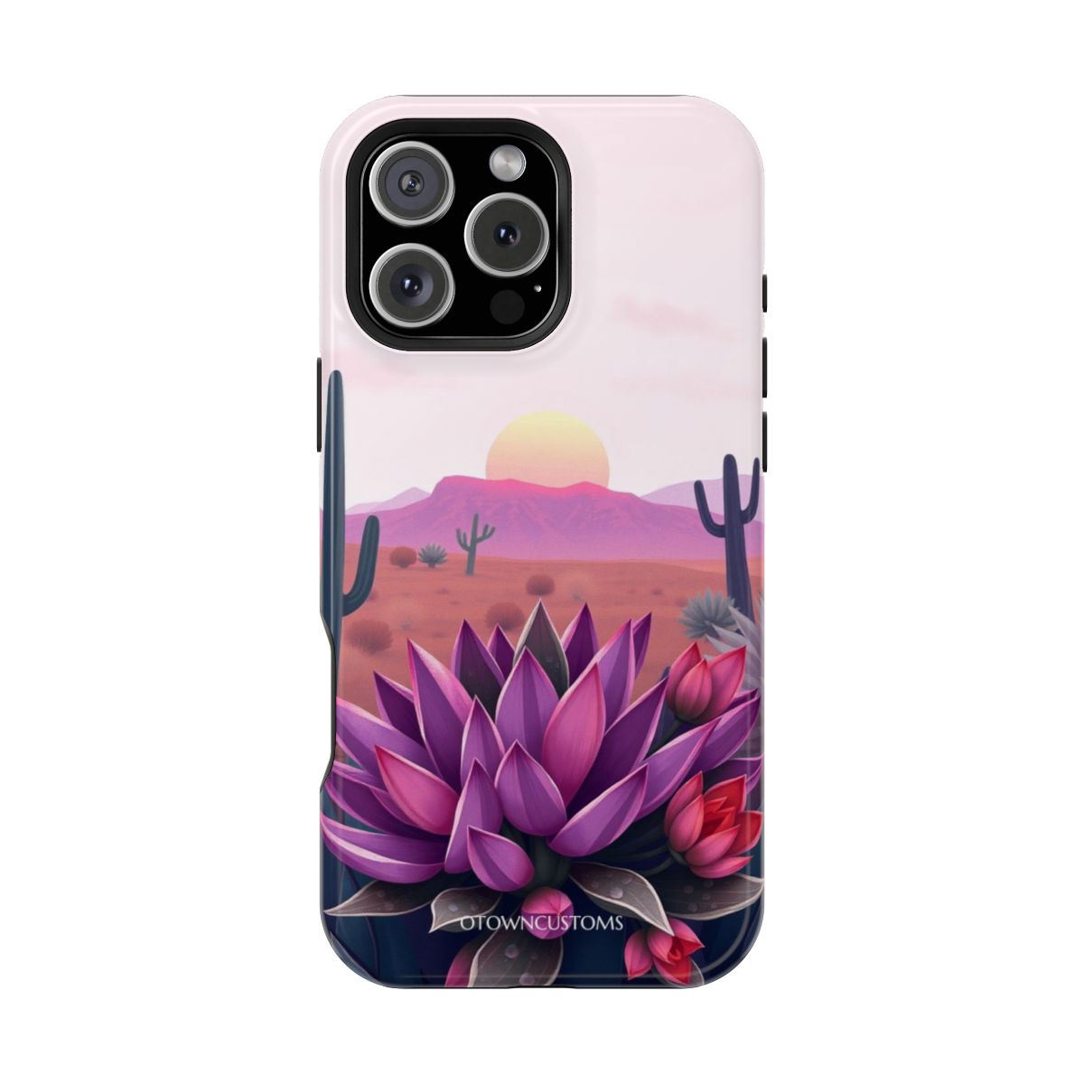 Succulent Garden Bloom Desert