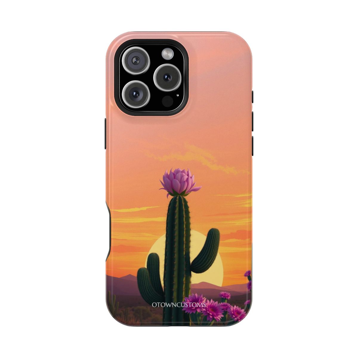 Desert Cactus Bloom Sunset