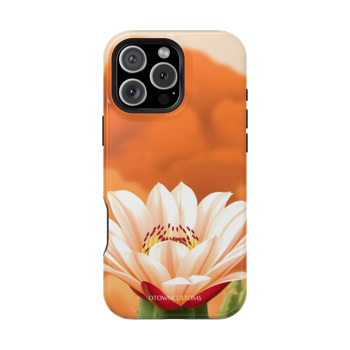 Detailed Cactus Blossom Botanical
