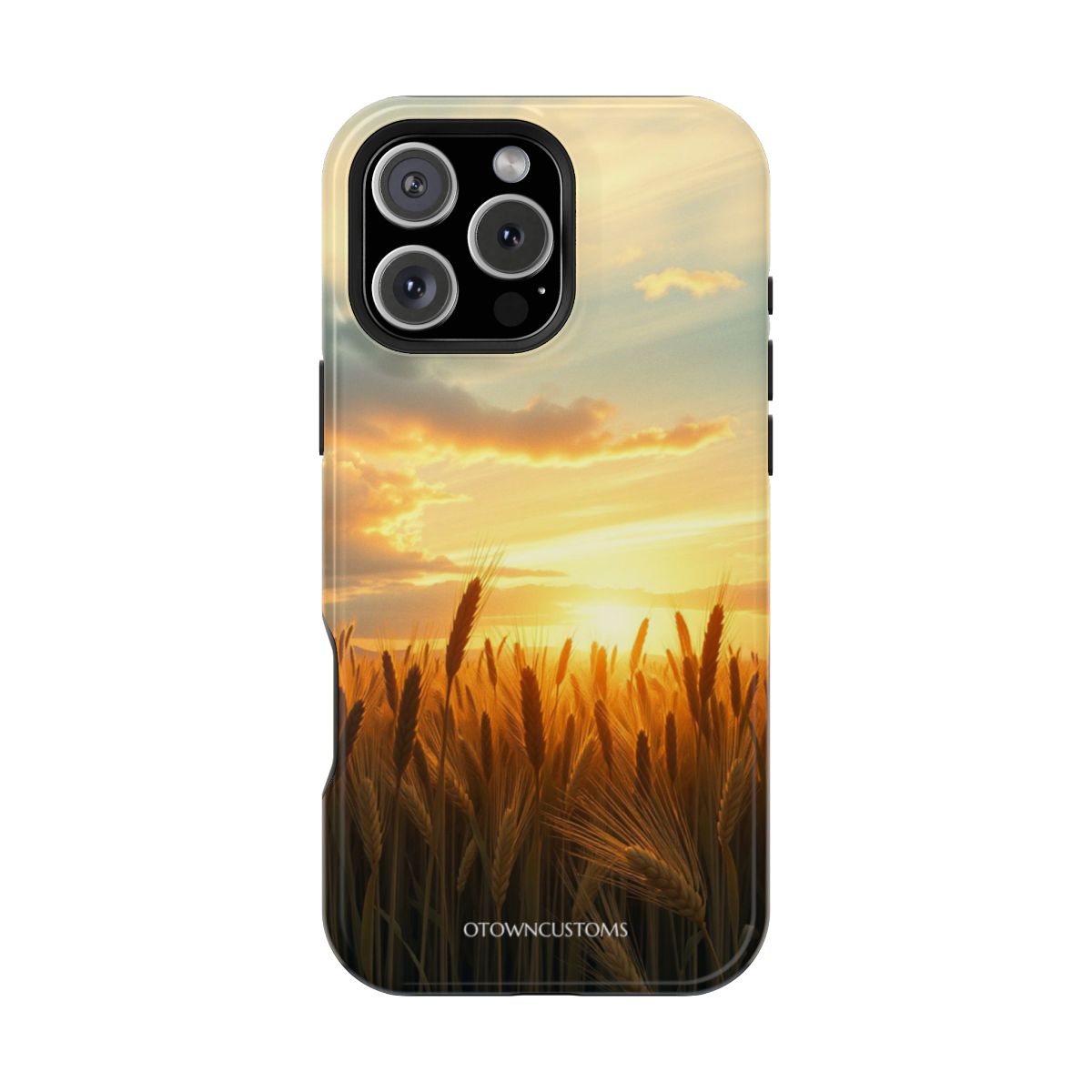 Golden Hour Wheat Field