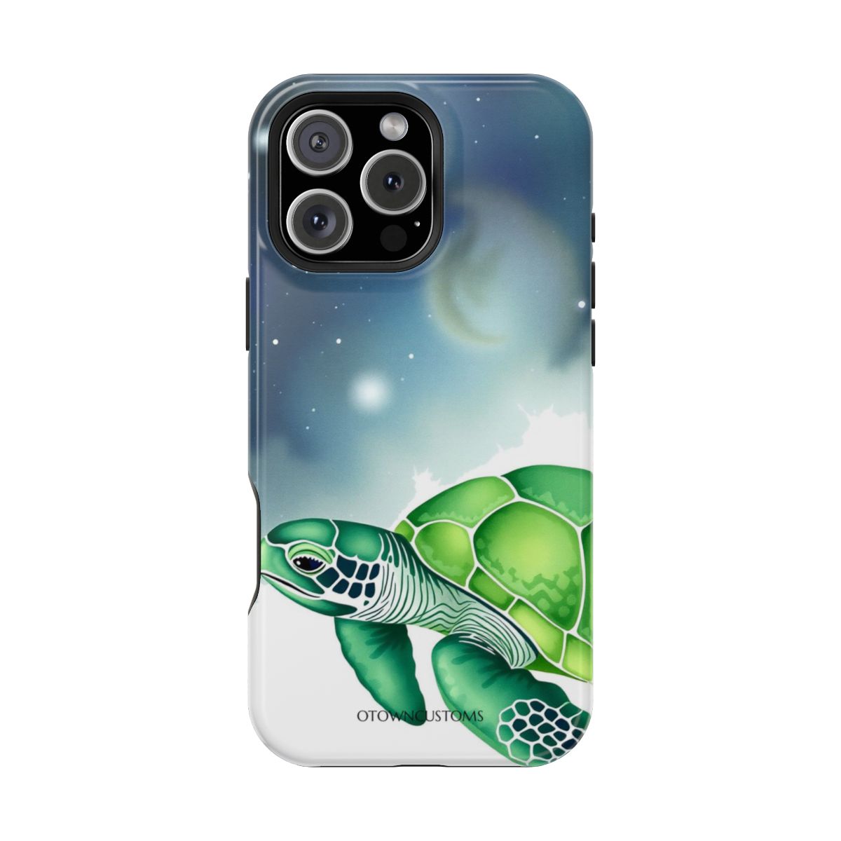 Digital Painting Turtle Galaxy