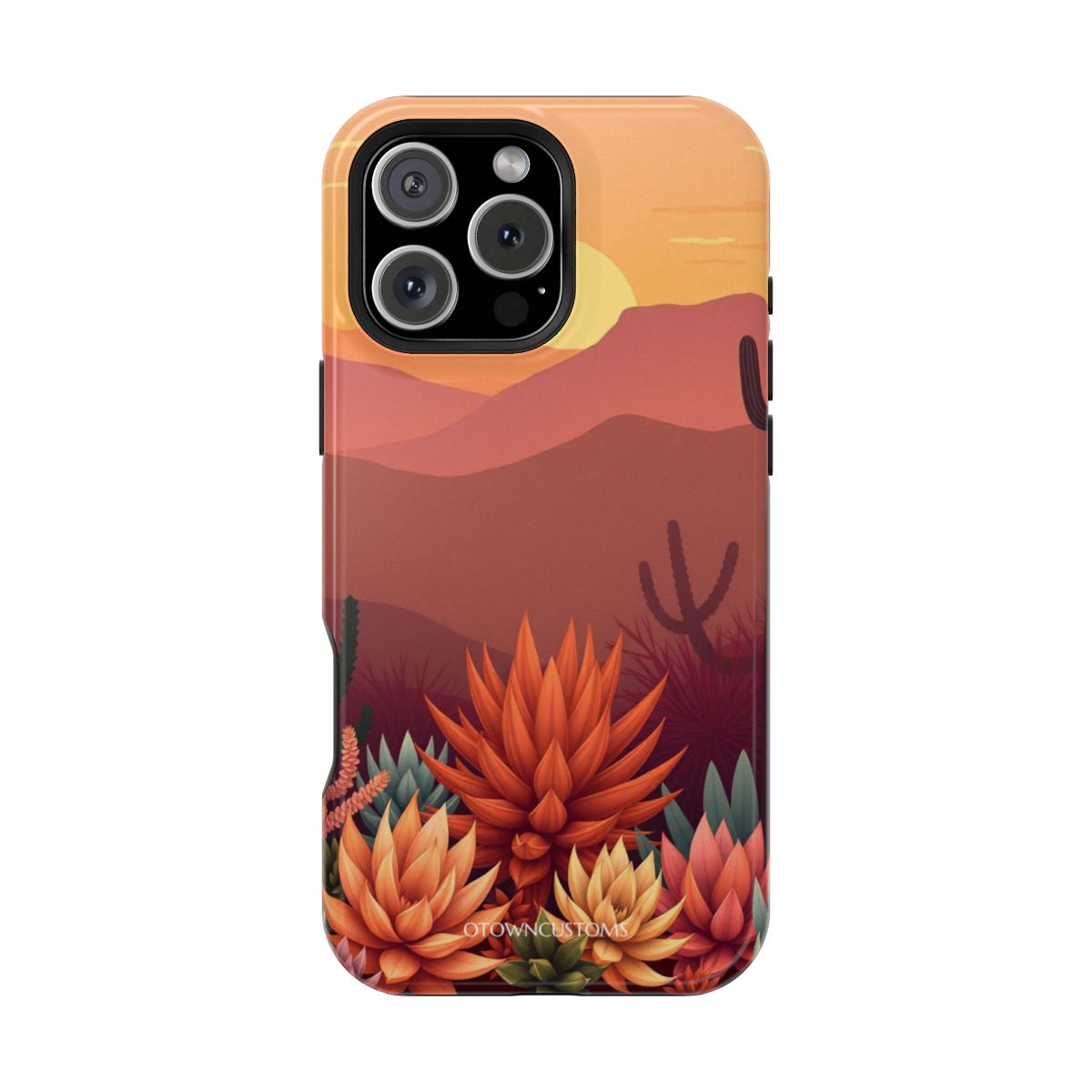 Desert Succulent Sunset Garden Vista