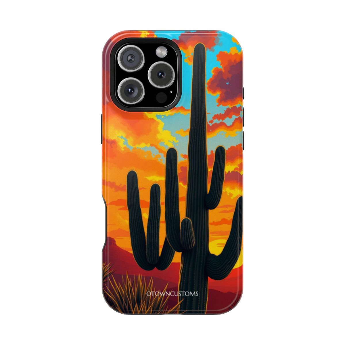 Desert Sunset Cactus Vista Nature Landscape