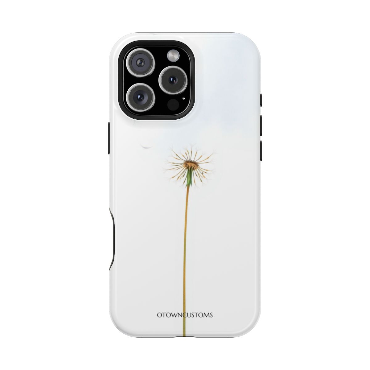 Minimalist Dandelion Seed Flight
