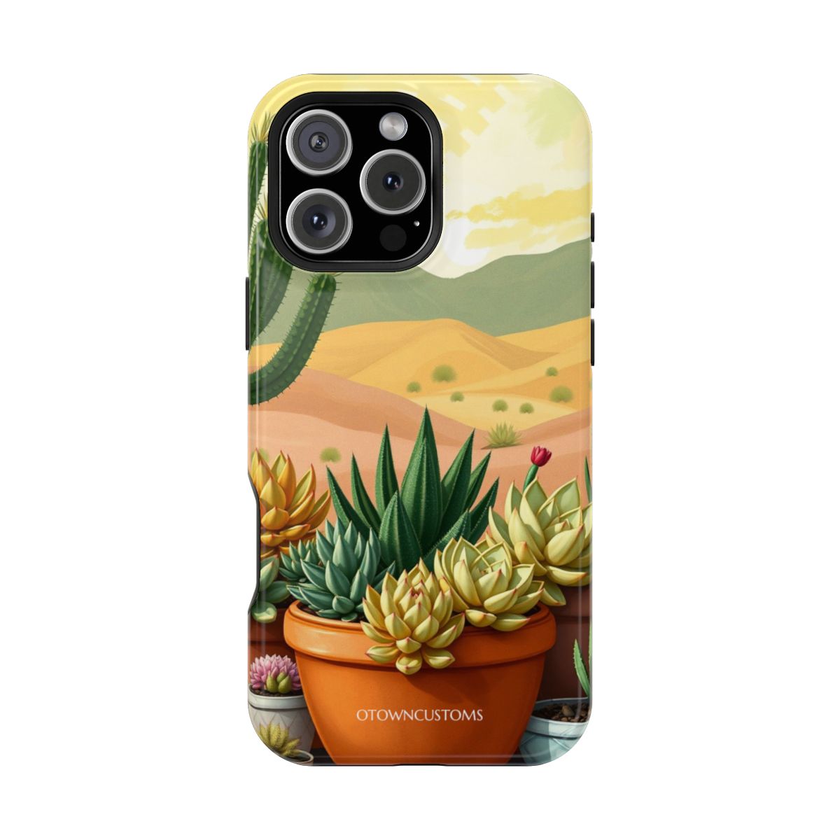 Desert Plants Succulent Garden