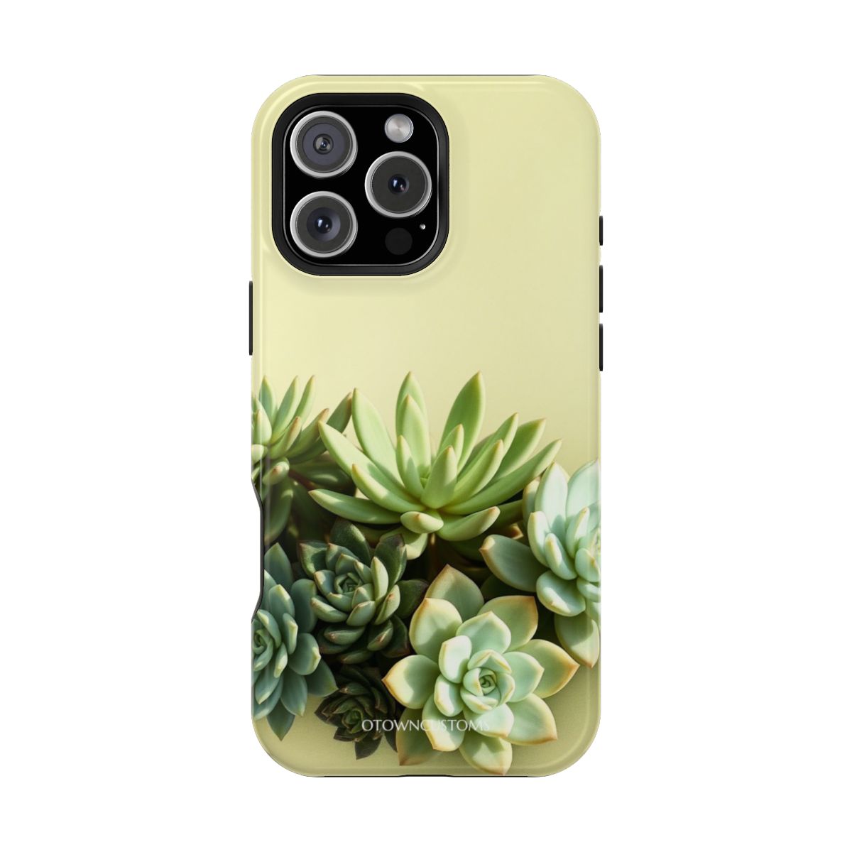 Succulent Garden Earthy