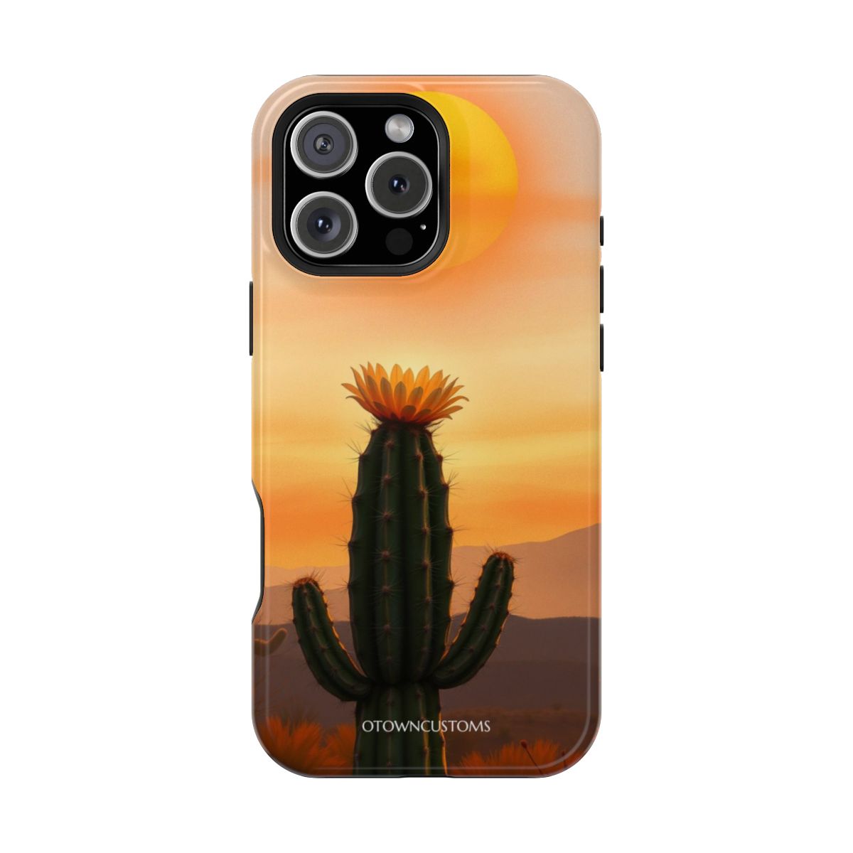 Desert Sunset Bloom