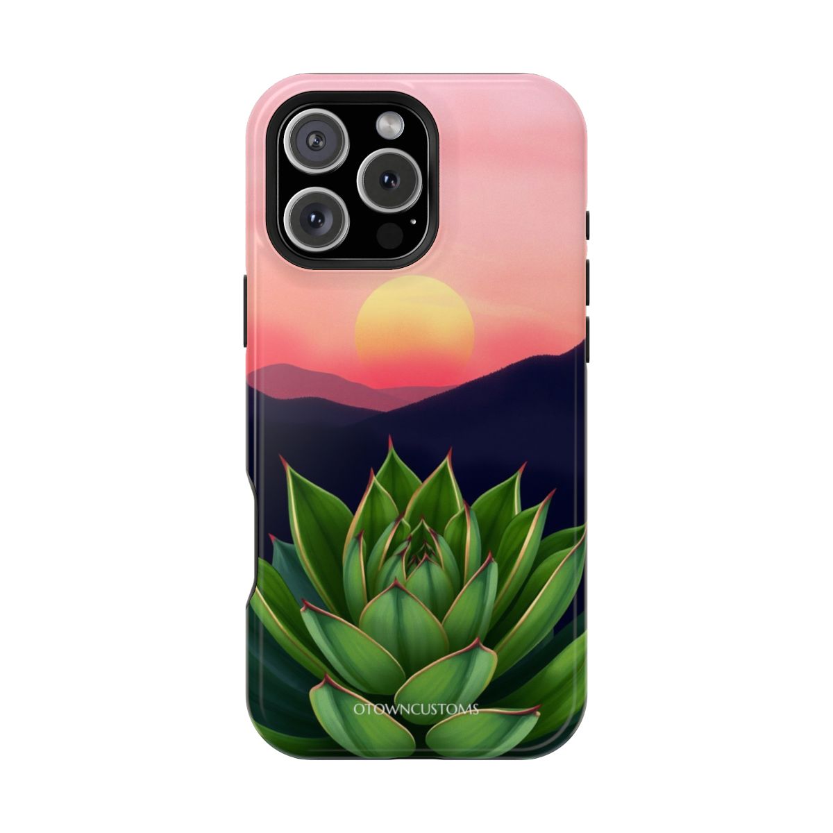 Succulent Garden Sunset Digital Art