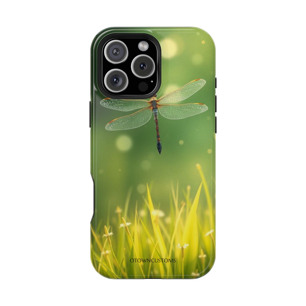 Macro Nature Dragonfly Meadow Dance