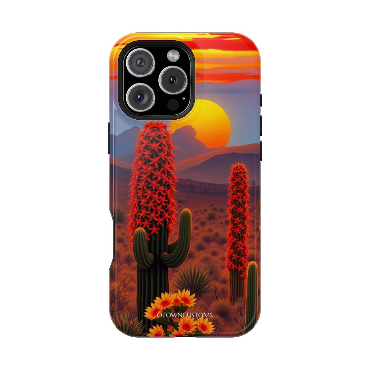 Desert Sunset Cactus Bloom