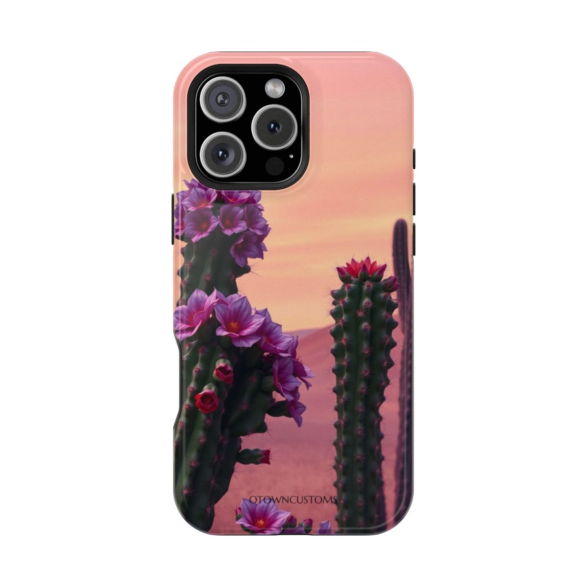 Desert Bloom Nature Landscape