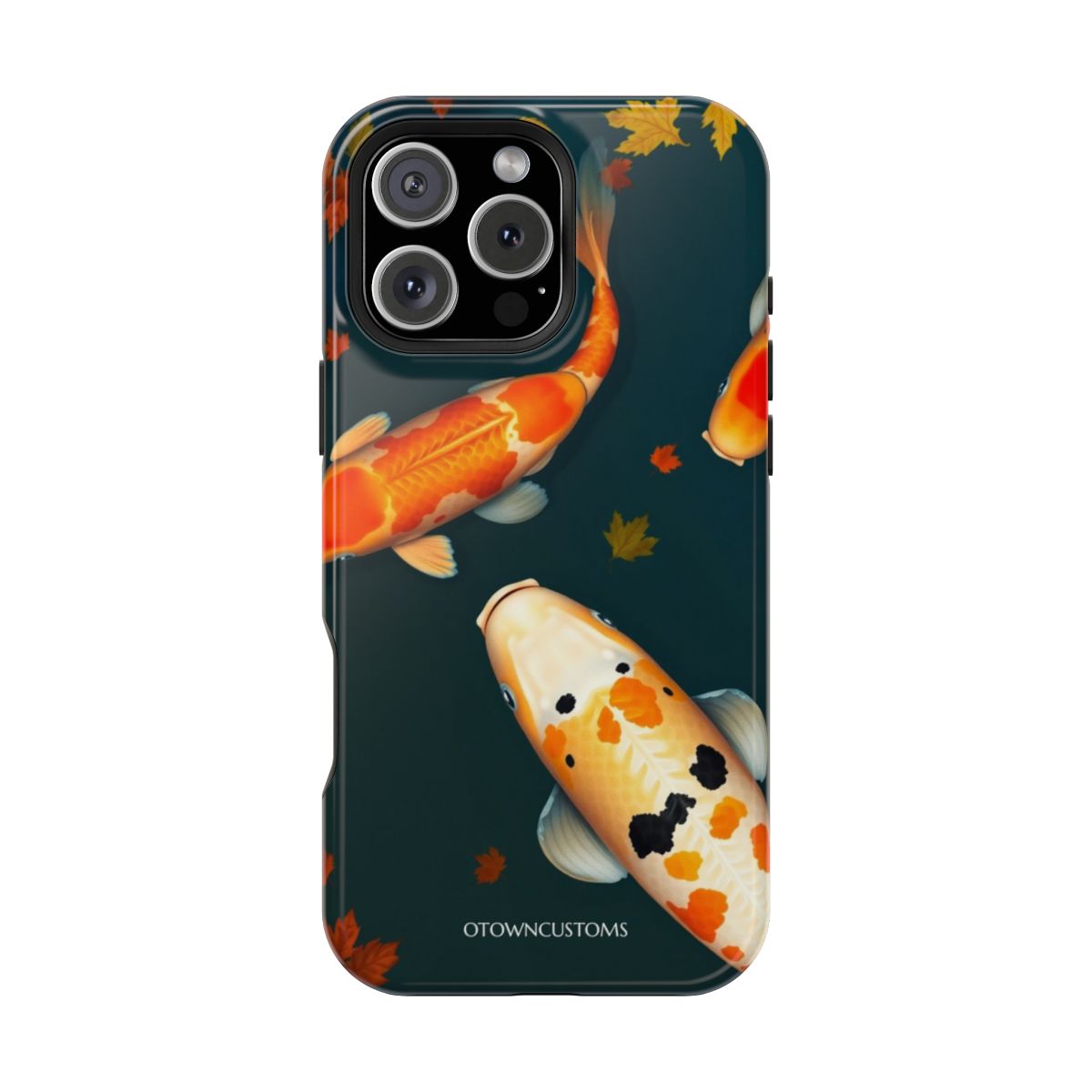 Koi Fish Pond Reflection