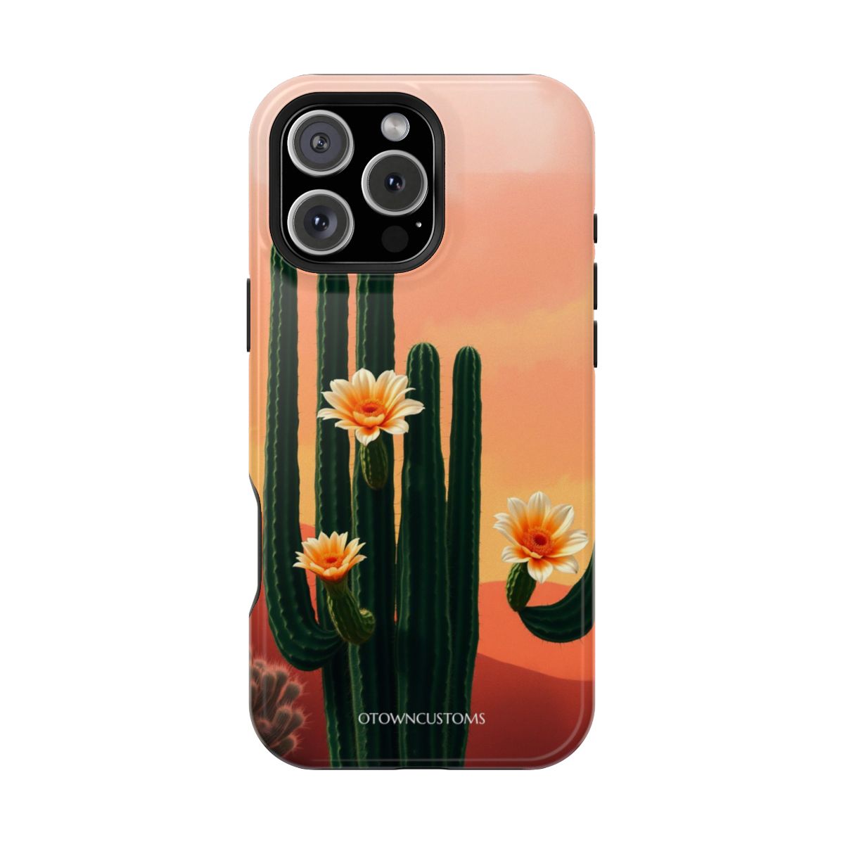 Desert Flora Nature Landscape