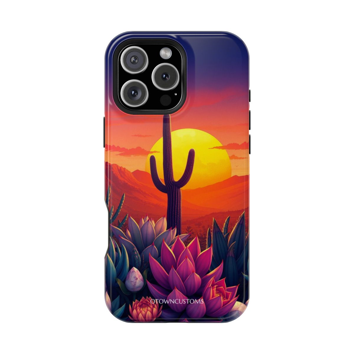 Vibrant Desert Sunset Succulent Nature Landscape