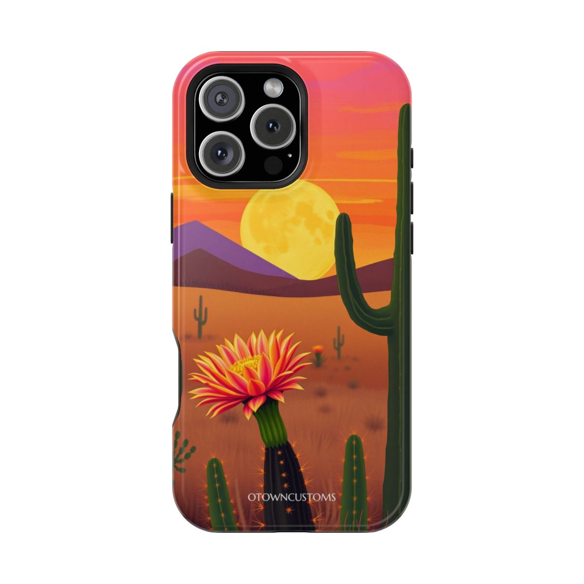 Desert Cactus Bloom Dream Sunset