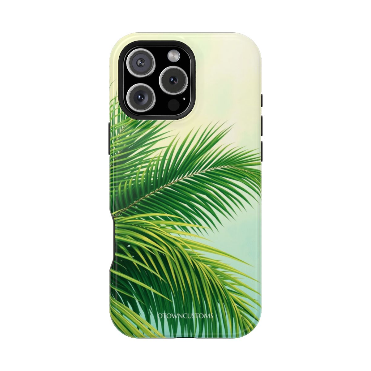 Tropical Palm Nature Landscape