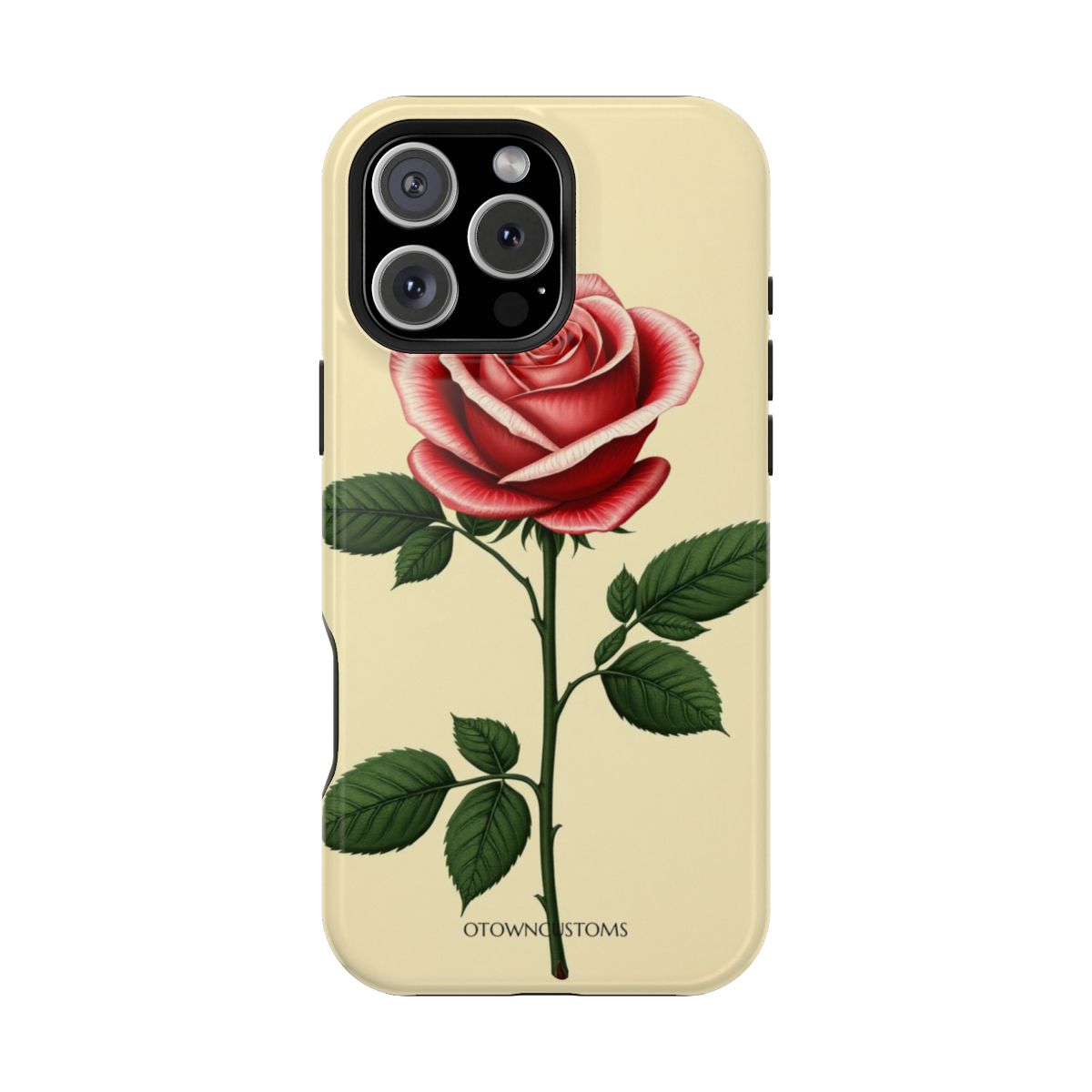 Vintage Rose Botanical Illustration