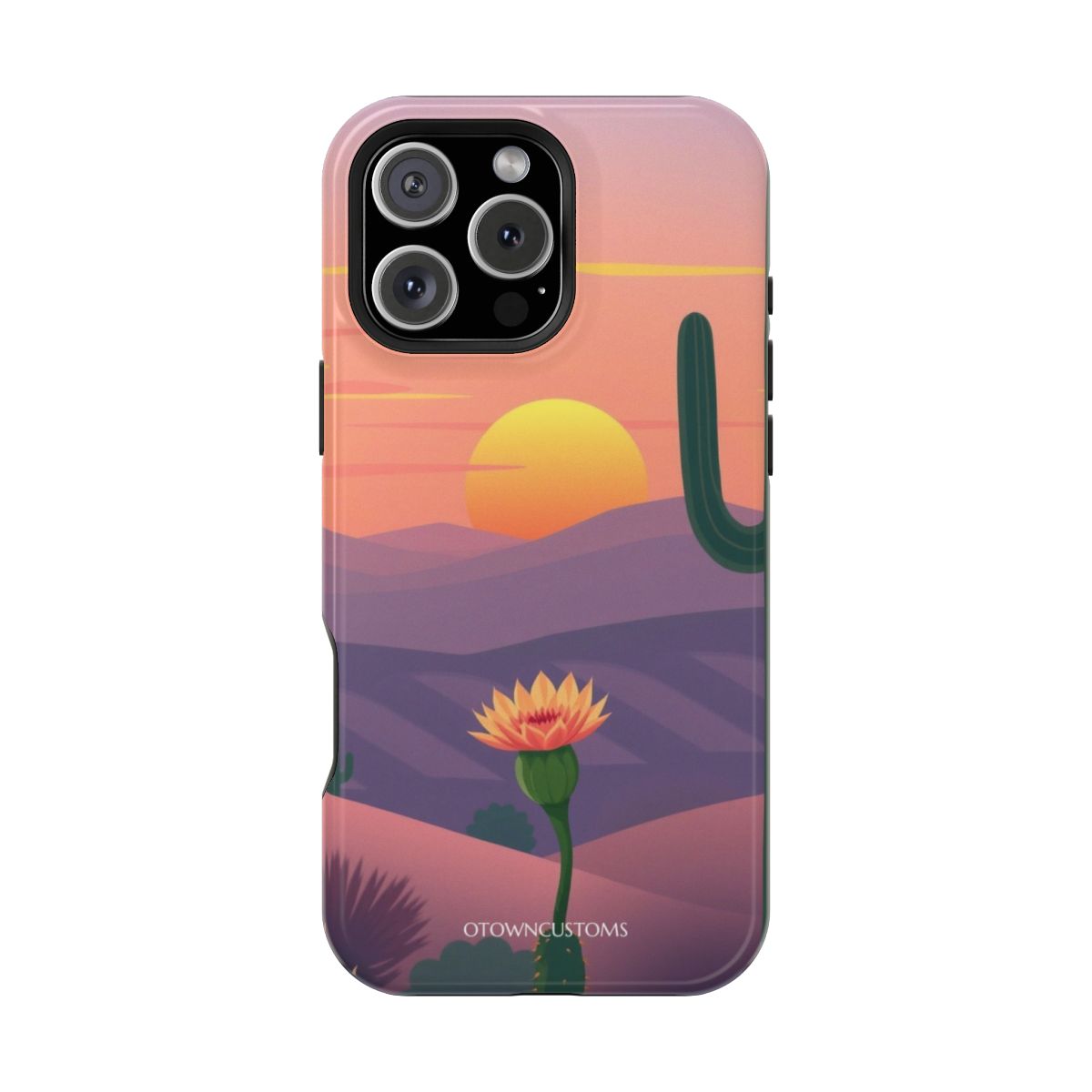 Flat Desert Sunset Bloom Sunrise