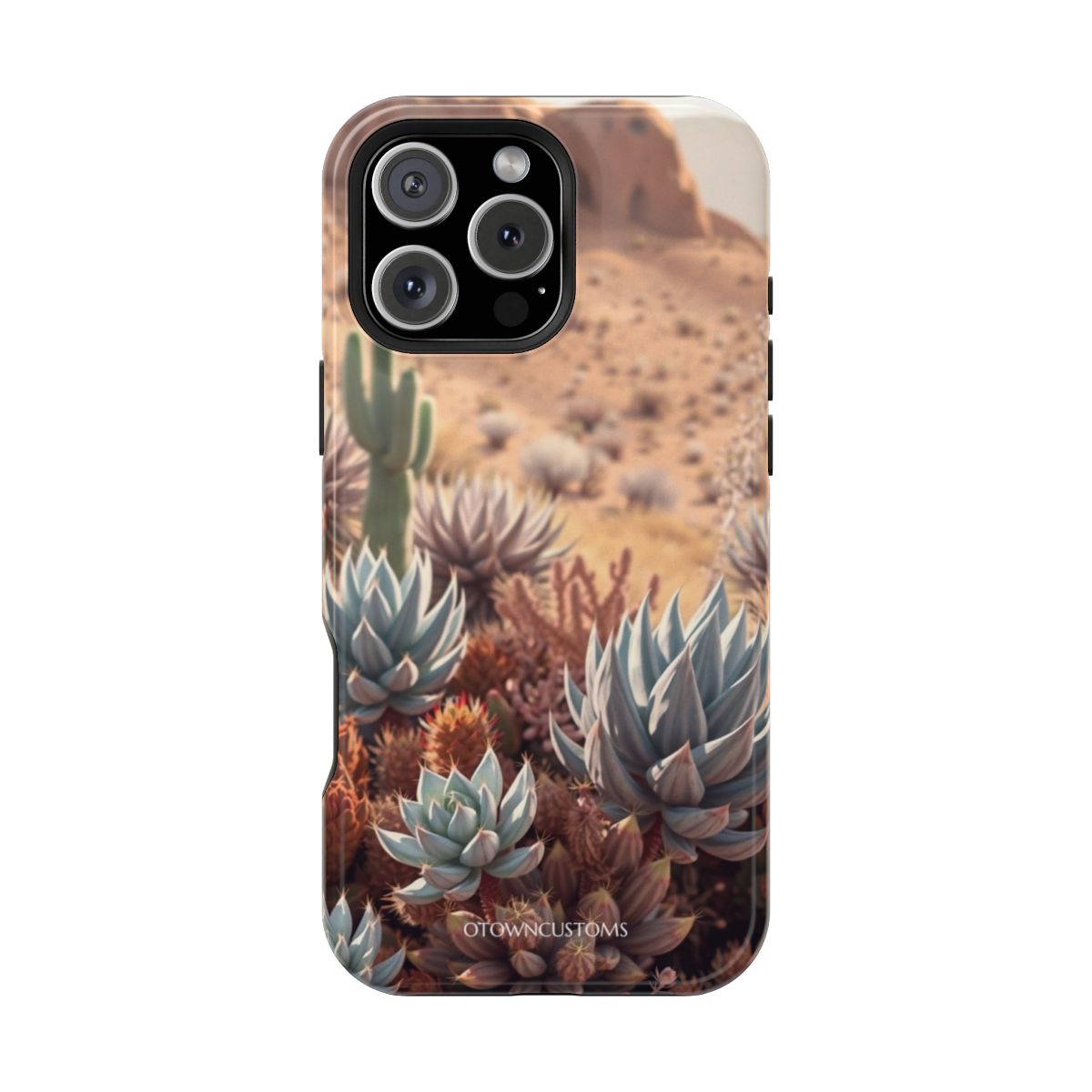 Desert Succulents Garden Close-Up