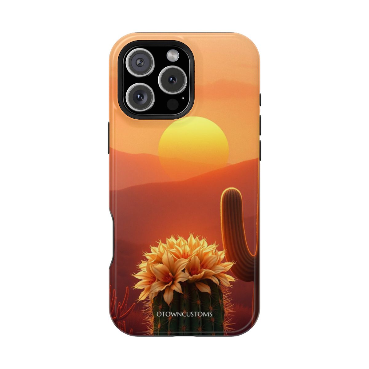Desert Sunset Golden Hour Cactus