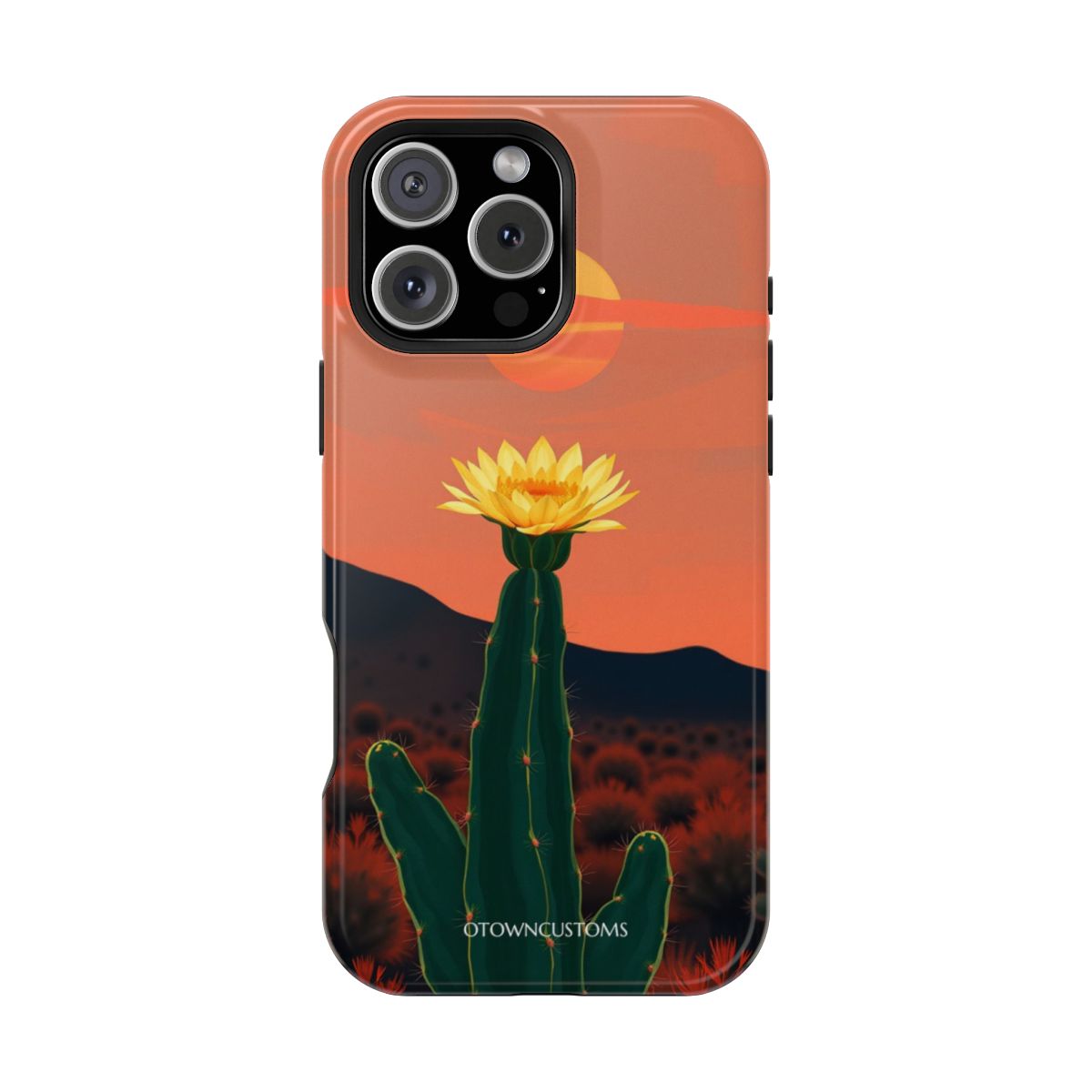 Desert Bloom Cactus Sunset