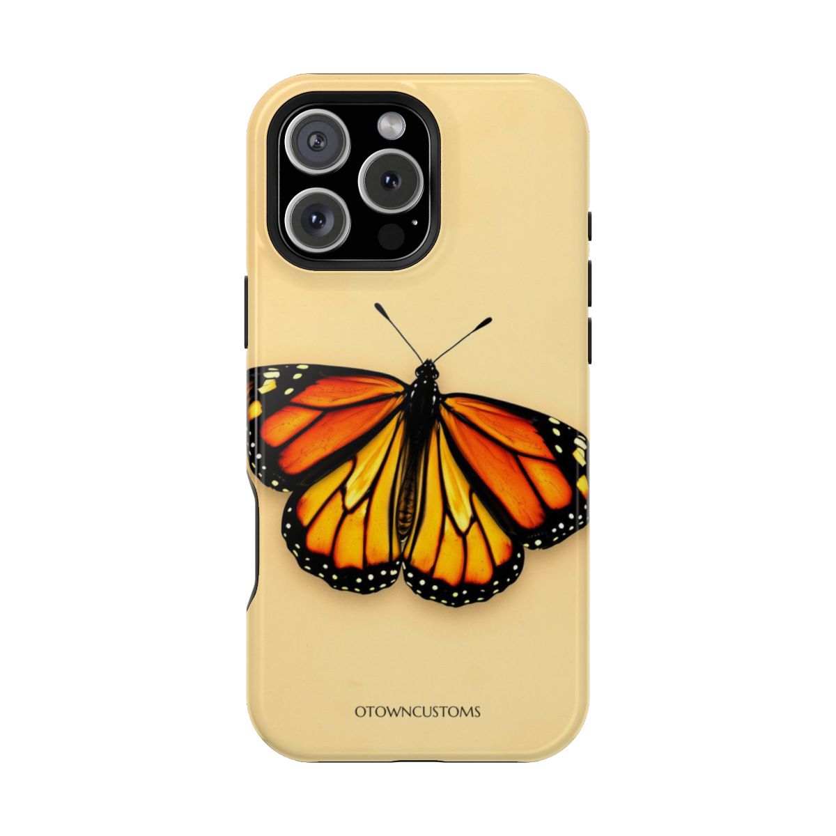 Minimalist Butterfly Study