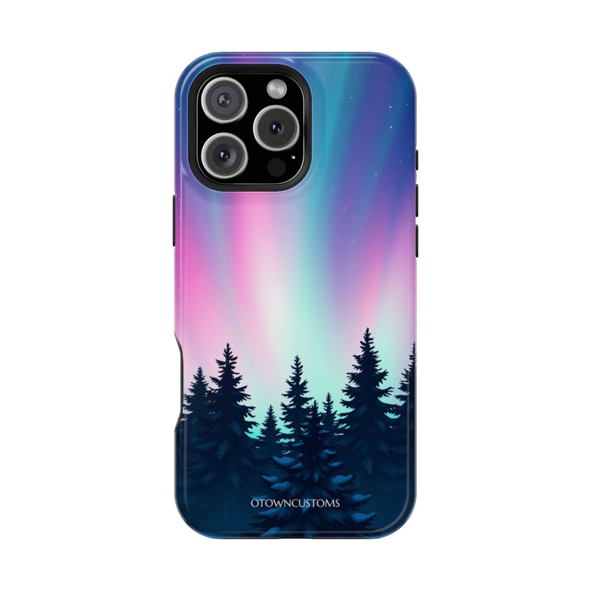 Northern Lights Winter Wonder