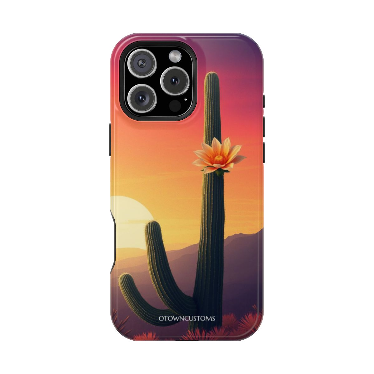 Desert Sunset Cactus Bloom