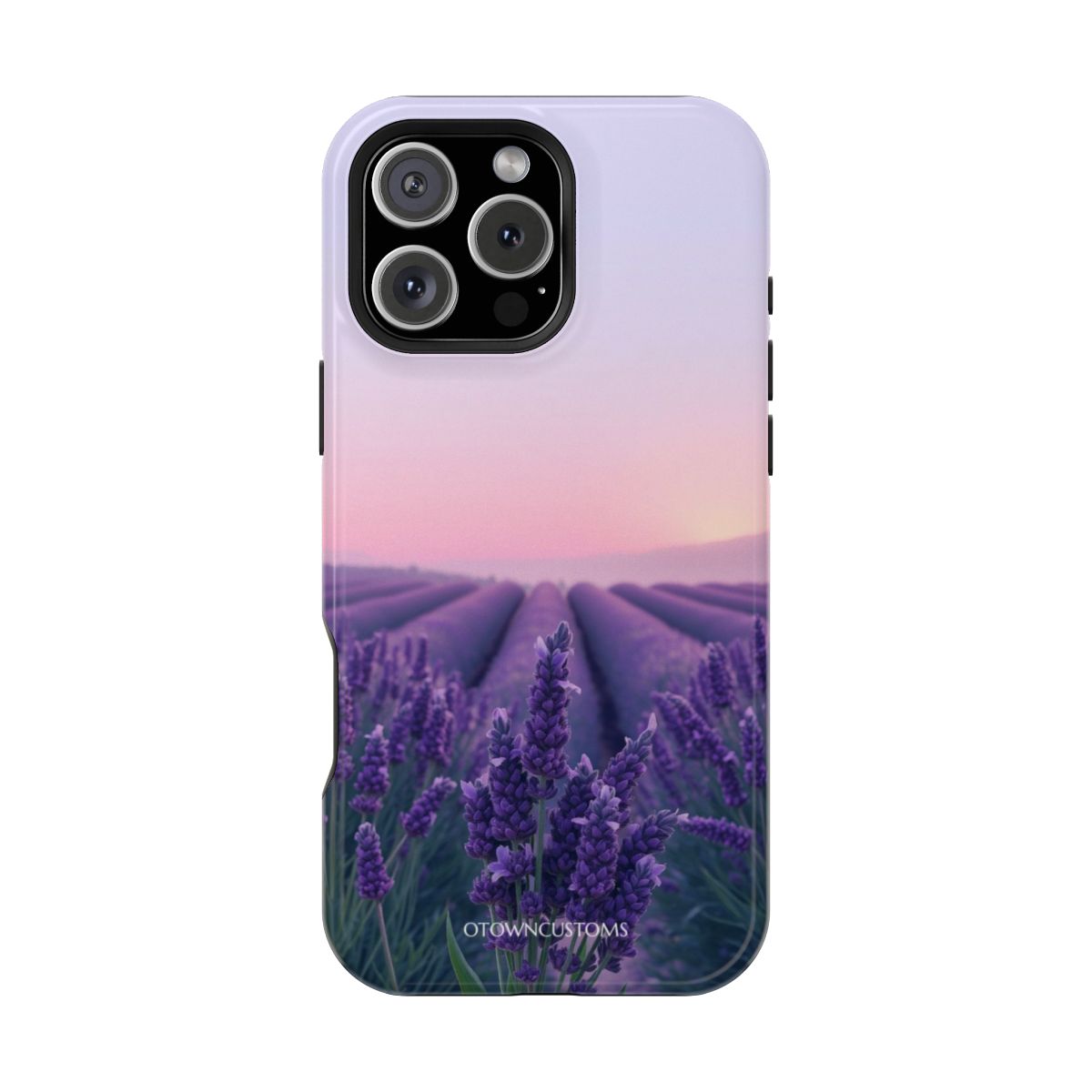 Lavender Field Nature