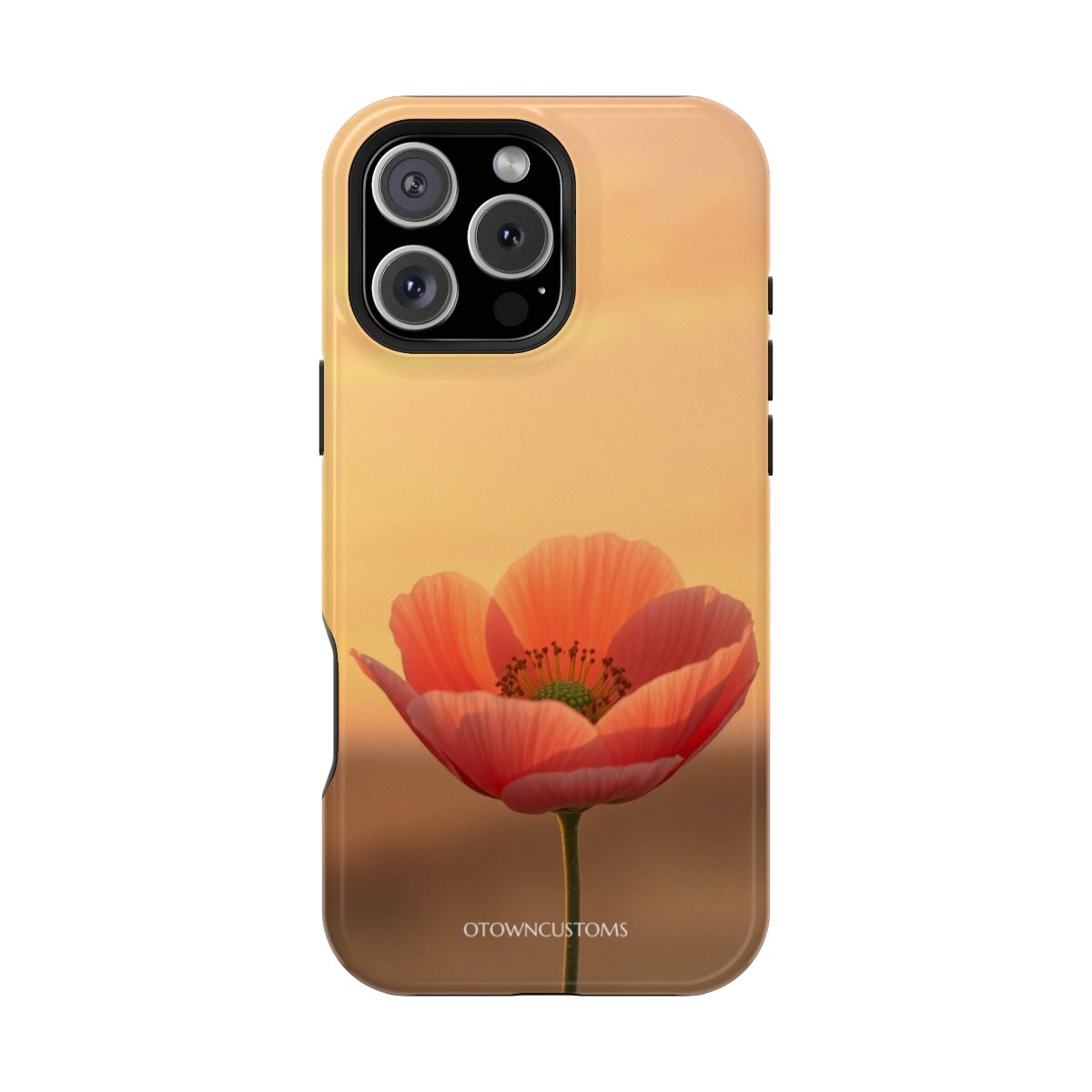 Soft Focus Golden Hour Bloom