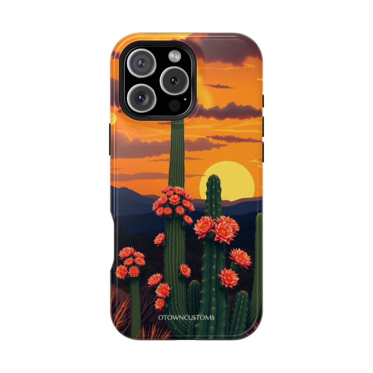 Desert Bloom Cactus Sunset Landscape